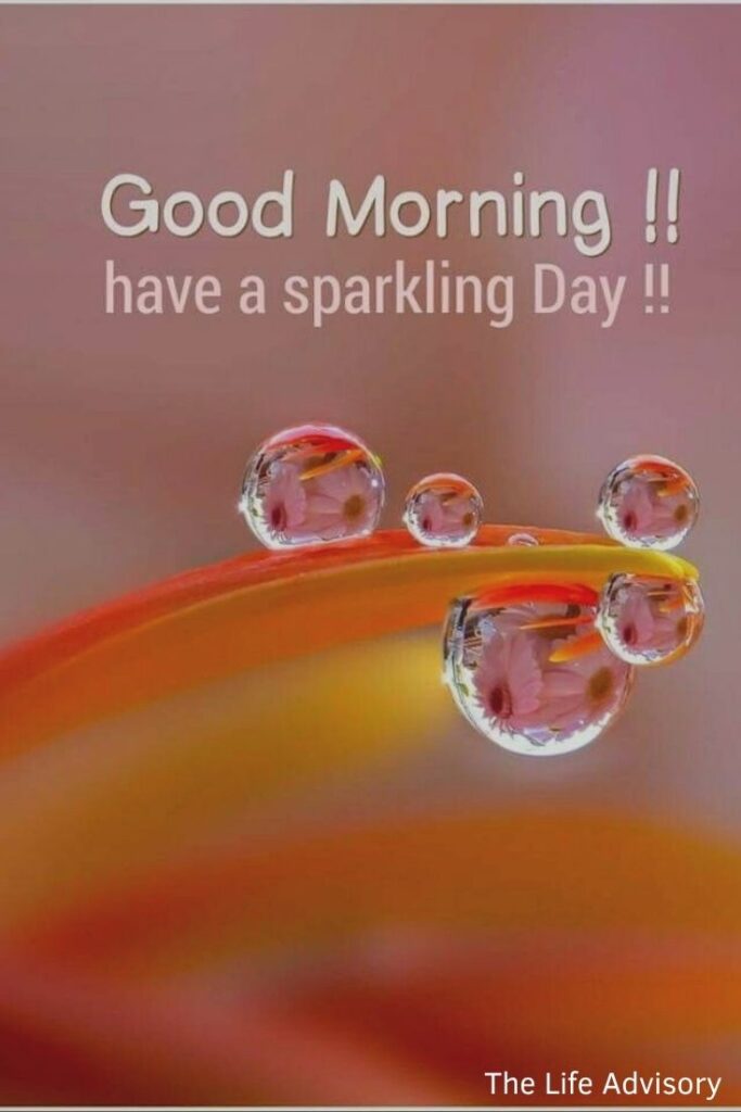 Good Morning Have a Sparkling Day Images