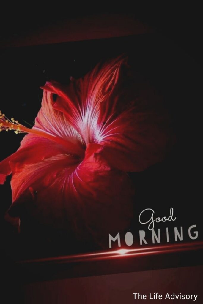 Good Morning Image with Hibiscus Flower