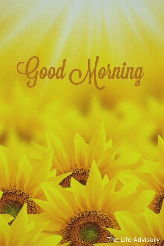 Good Morning Images with Sun Flower