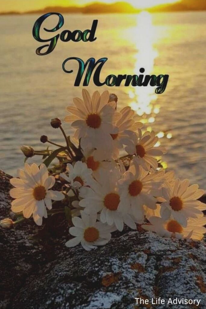 Good Morning Images with Sunrise and Flower