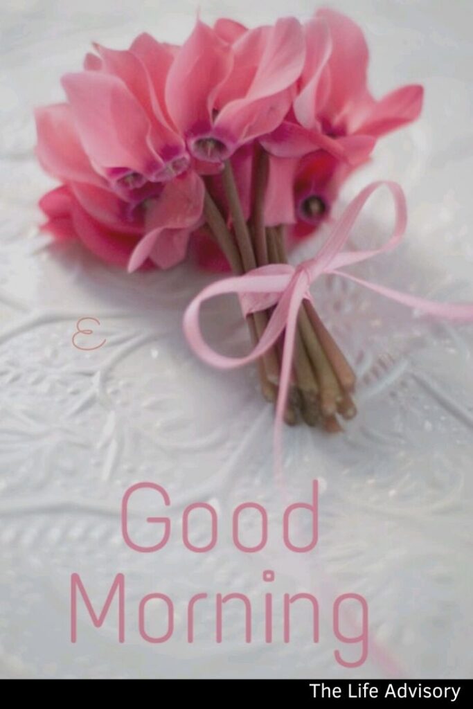 Good Morning Pink Flower Image